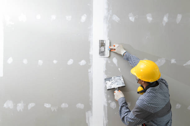 Professional Mold Removal in Denham Springs, LA